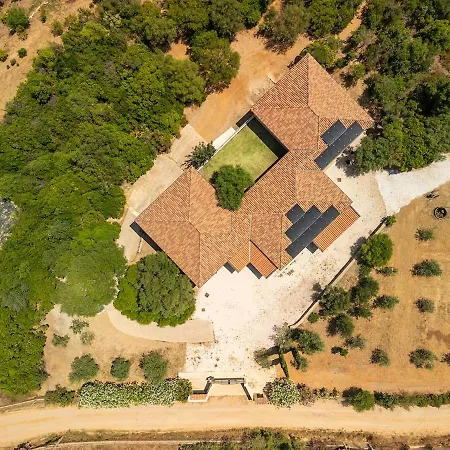 Affittasardegna - Trilo Euforbia Santa Lucia (Sardinia)